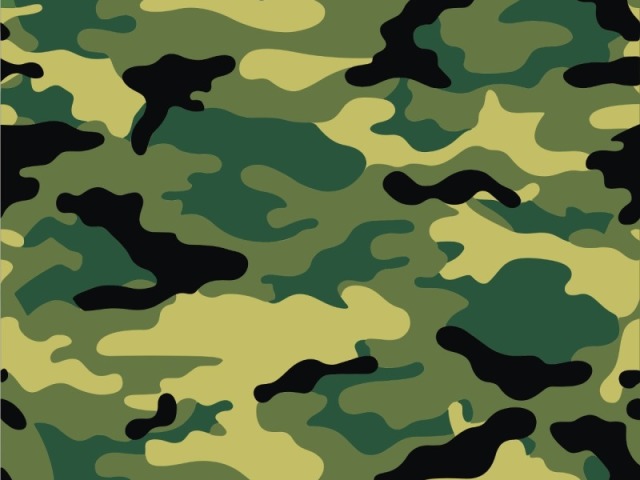 Camuflada