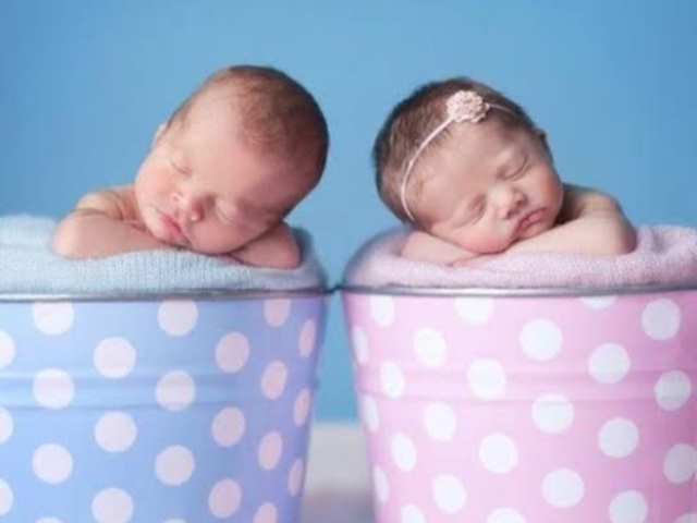 Bernardo/Beatriz