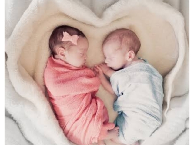 Carlos Eduardo/ Maria Eduarda