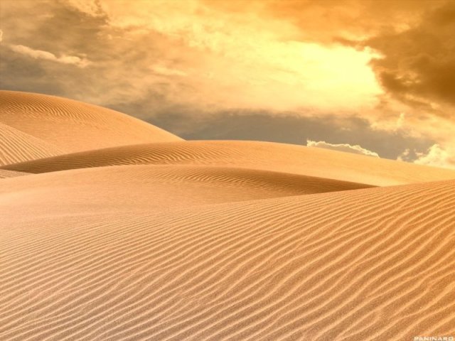 Quanto tempo você sobreviveria no deserto?