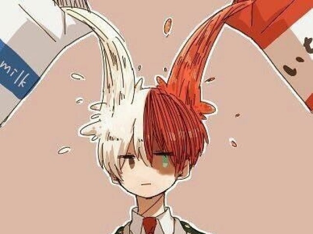 Shoto ✨