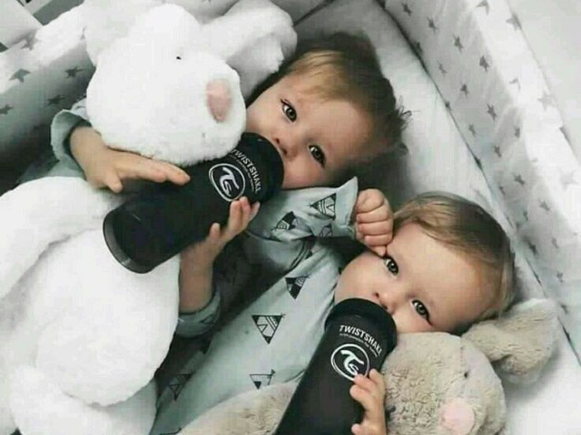 Gabriel e daniel