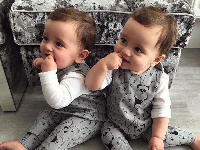 Bernardo e apollo