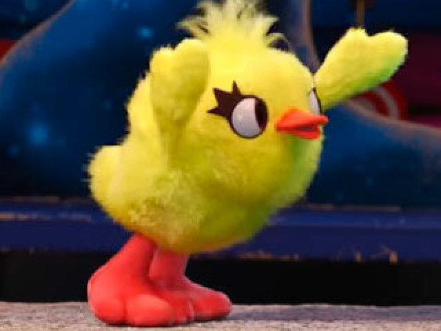 Duck
