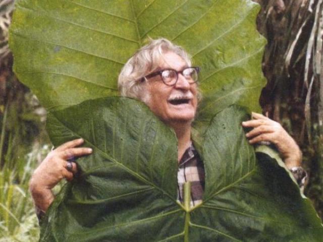 Roberto Burle Marx