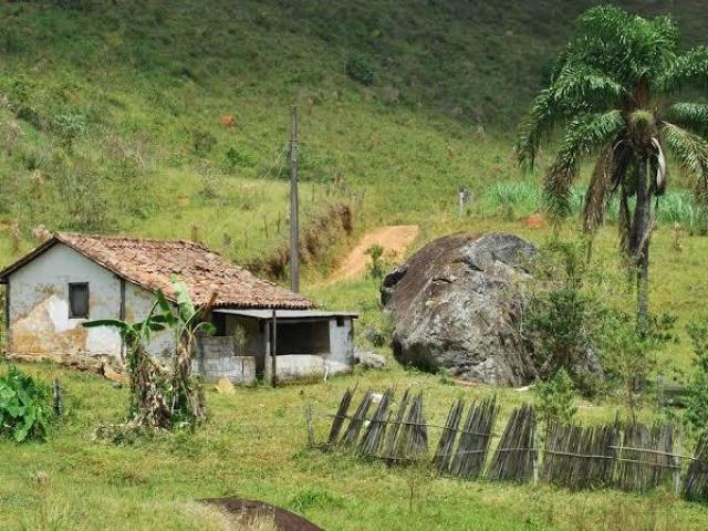 na roça mais conhecida como samiguelson e região👨🏻‍🌾🍂🌾