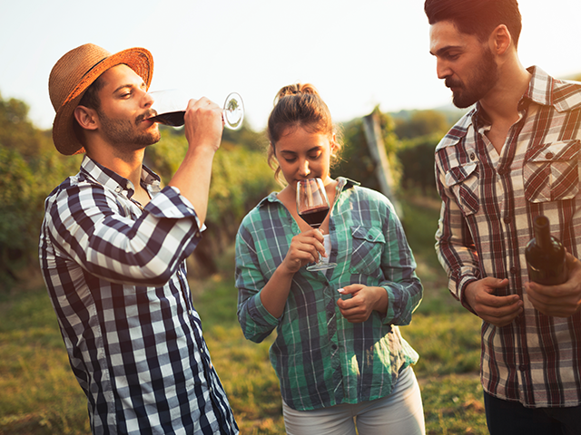 Escolho os mais leves e fáceis de gostar, pois ainda não sei muito sobre vinho.