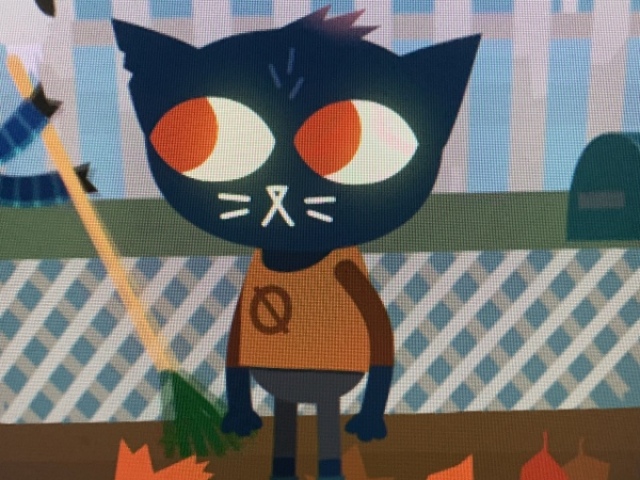 Night in the woods