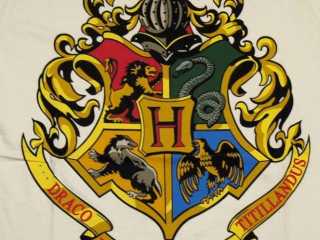 Qual a sua casa em Hogwarts?