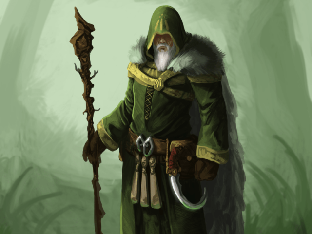 Druida