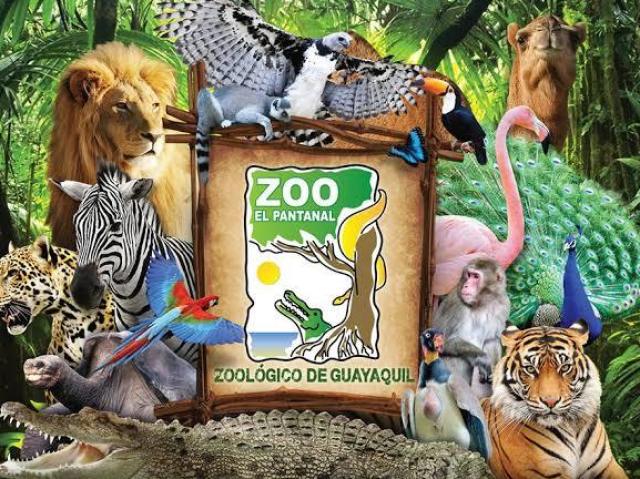 Só um? Vou querer um zoológico!