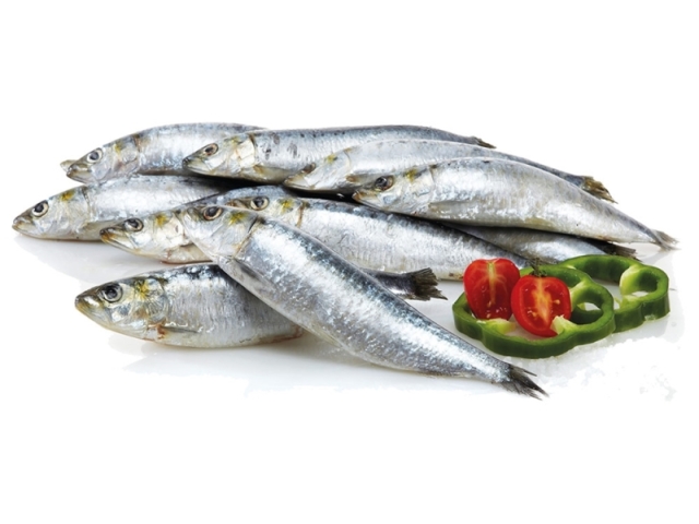 Sardinha.