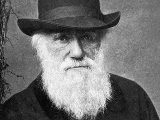 "Vacilão morre cedo" - Charles Darwin