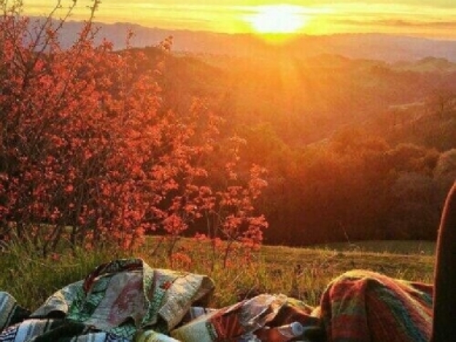 Piquenique ao pôr do sol