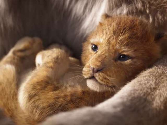 Simba