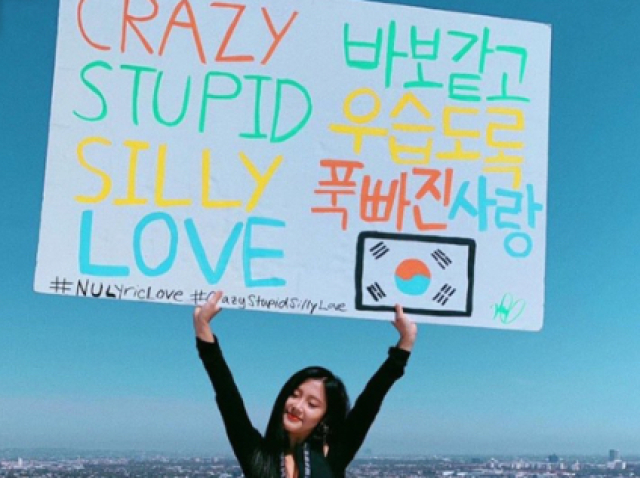 Crazy stupid silly love