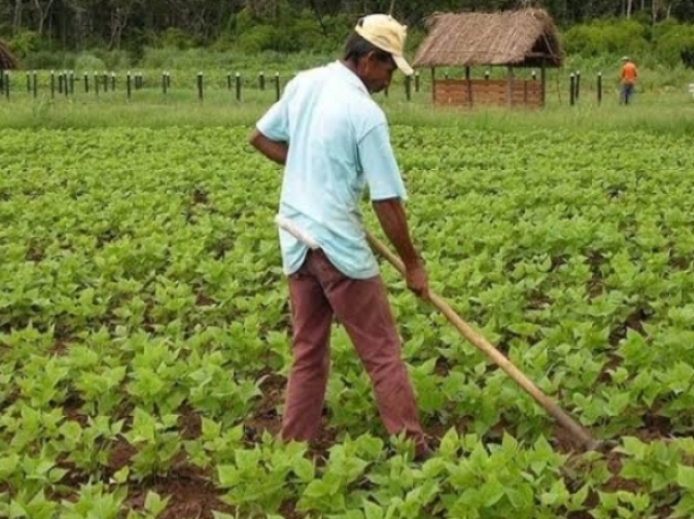 Trabalho rural