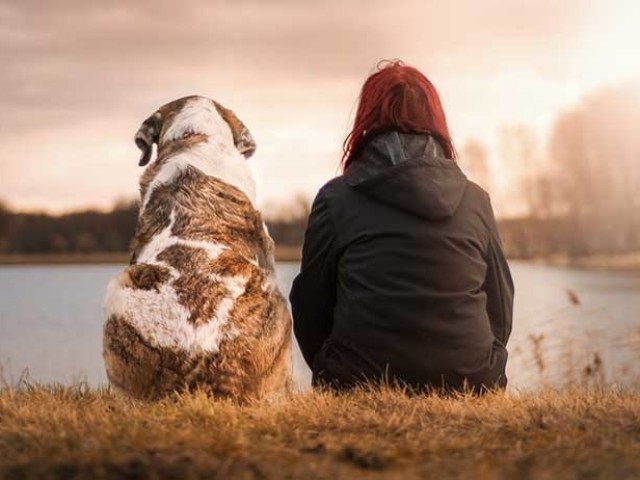 Ter um tempo sozinho pra mim pensar e fazer o que eu gosto é bom, e fico com a companhia do meu animal de estimação ainda