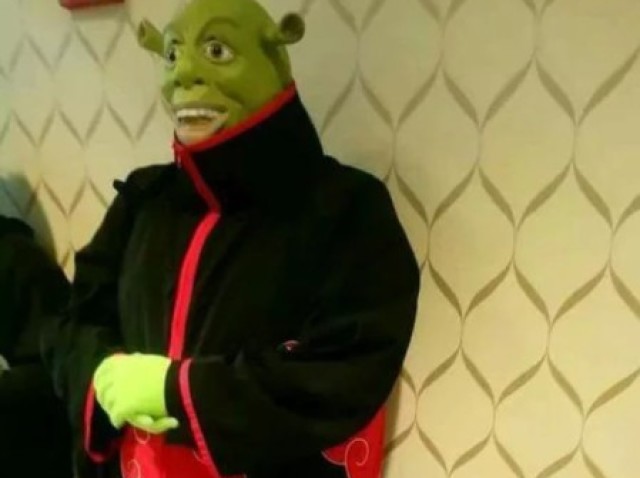 Essa do Shrek, porque esse é meu jeito ninja de ser!