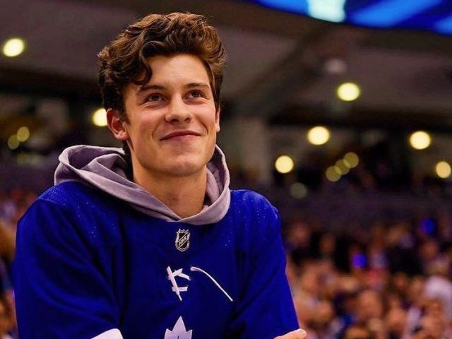 Você realmente conhece Shawn Mendes?
