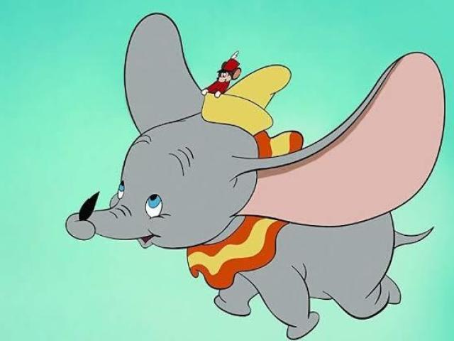 Dumbo
