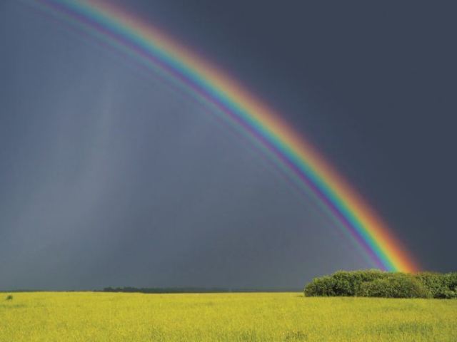 Qual cor do arco-íris mais combina com você?