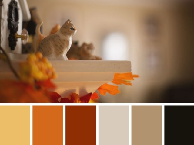 Cores Neutras