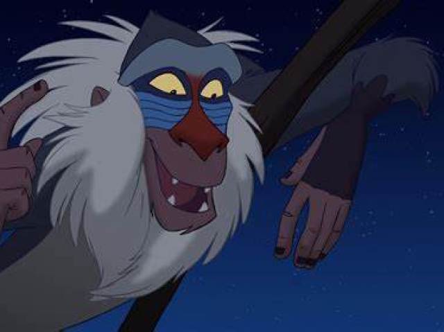 Rafiki.