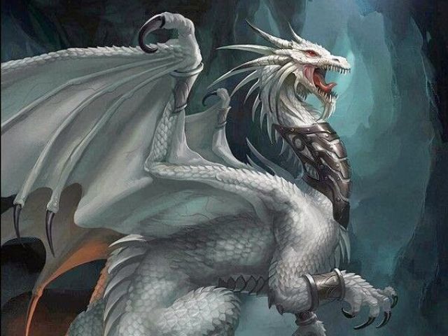 Dragão Branco