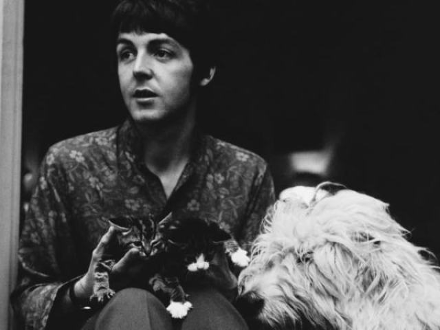 Paul Mccartney