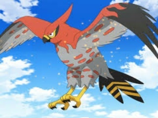 Talonflame