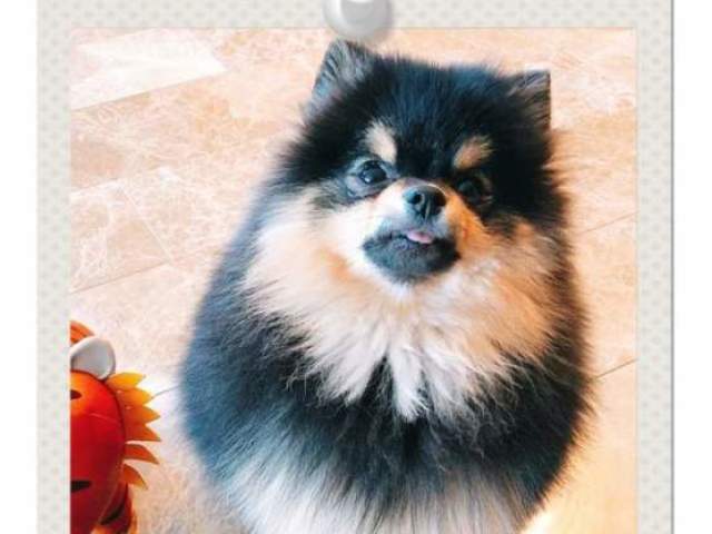 Yeontan