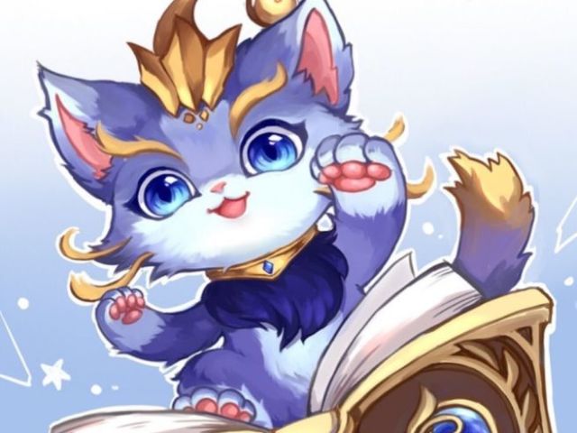 Gato.