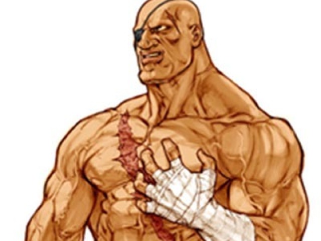 Sagat