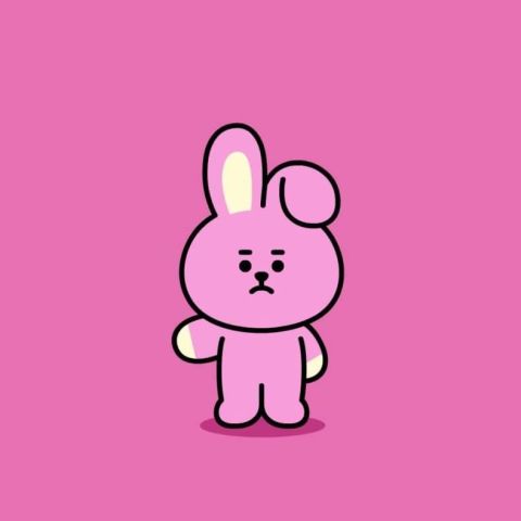 Cooky