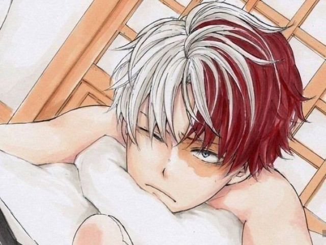 Shoto Todoroki
