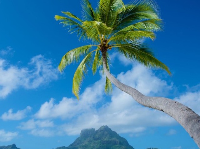 Uma viagem de sonho! đđŽ