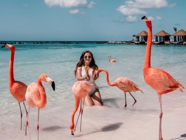 Aruba, Caribe