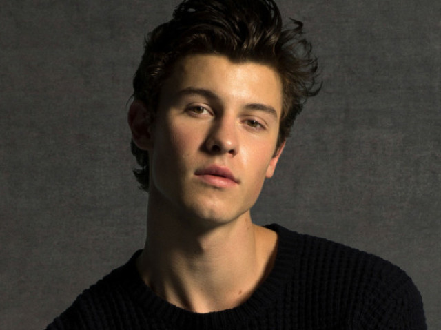 shawn mendes