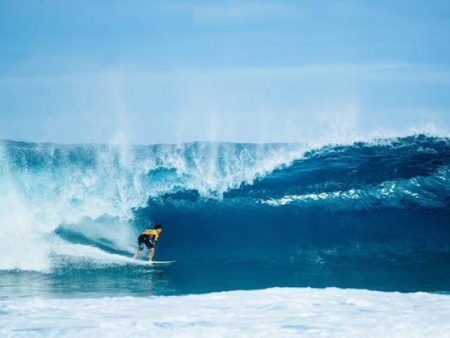 Surf