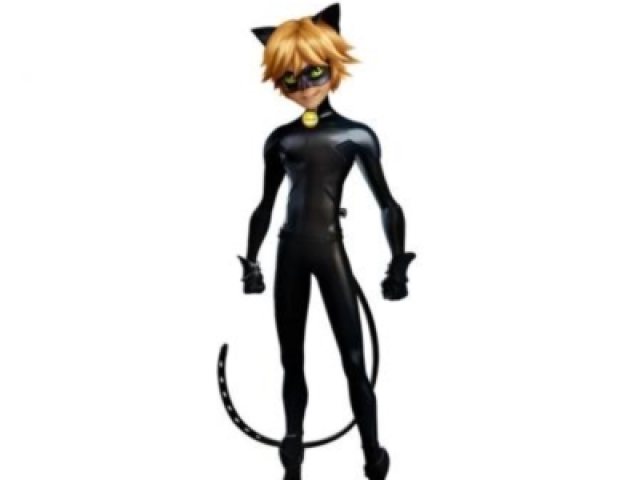 Cat Noir