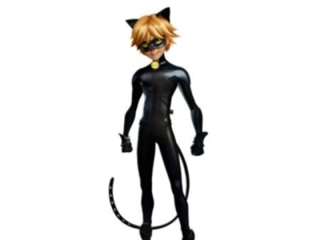 Cat Noir