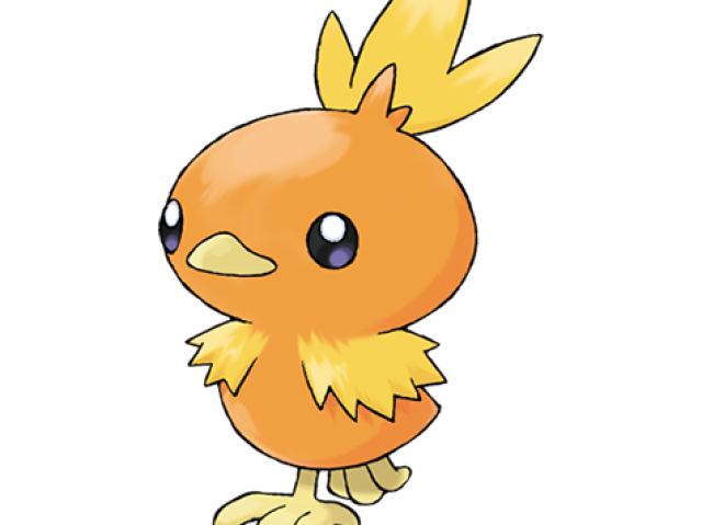 Torchic