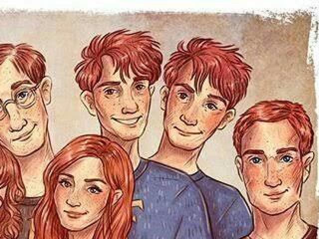 Parabéns!!Você é um verdadeiro Potterhead