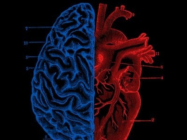 Qual é a sua idade mental e emocional?