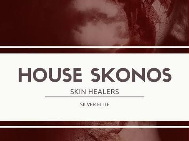 Casa Skonos