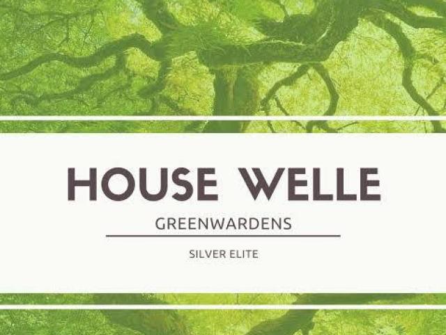 Casa Welle