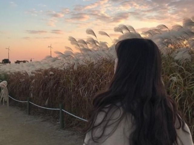 — ○ • Q ᴜ ᴇ ᴛ ɪ ᴘ ᴏ ᴅ ᴇ ᴋ -ɪ ᴅ ᴏ ʟ ᴠ ᴏ ᴄ ê ꜱ ᴇ ʀ ɪ ᴀ ? • ○ —