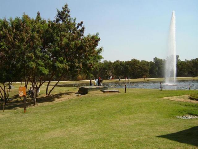 Parque.