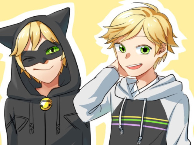 adrien/cat noir